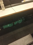 IMG-20171018-WA0006