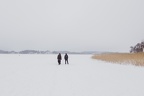 Luontoretki Katariinanlaakso 2021