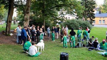 IMG 4190