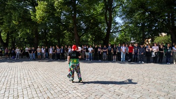 IMG 4231