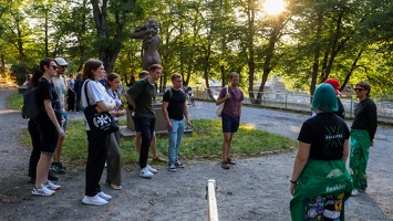 IMG 4584